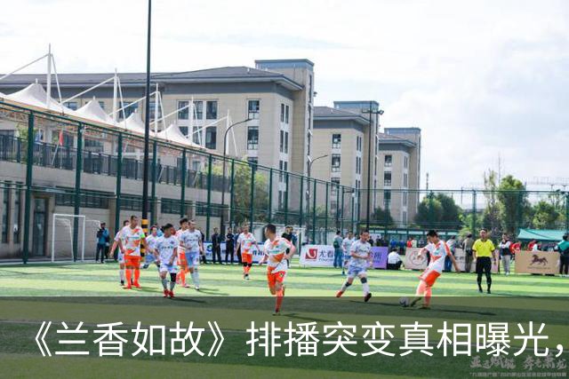 《兰香如故》排播突变真相曝光，不是剧烂，是太火才让路