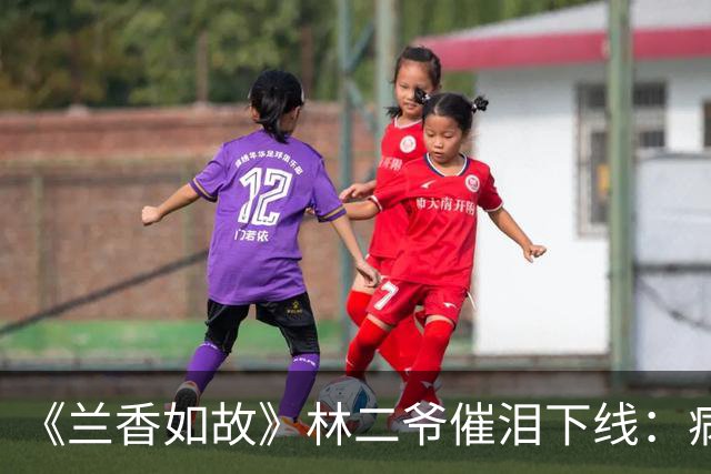《兰香如故》林二爷催泪下线：病弱林锦岚的3个谋略，不输林锦岐