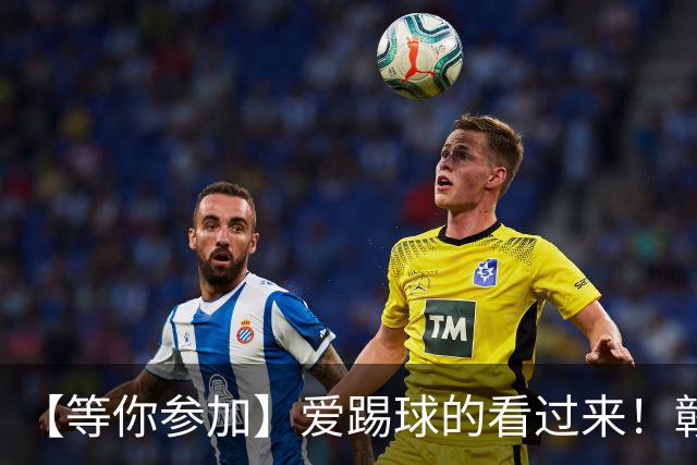 【等你参加】爱踢球的看过来！赣榆代表队招人啦