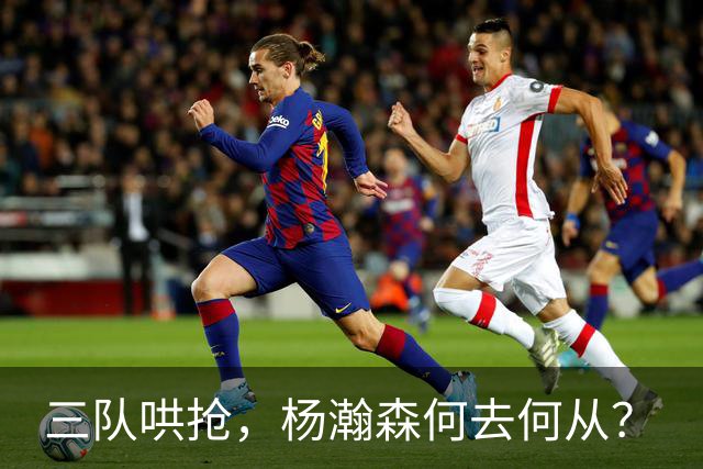 三队哄抢，杨瀚森何去何从？