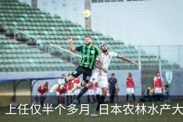 上任仅半个多月 日本农林水产大臣就不当言论道歉