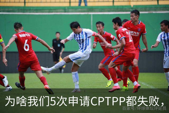 为啥我们5次申请CPTPP都失败，谁在阻拦？