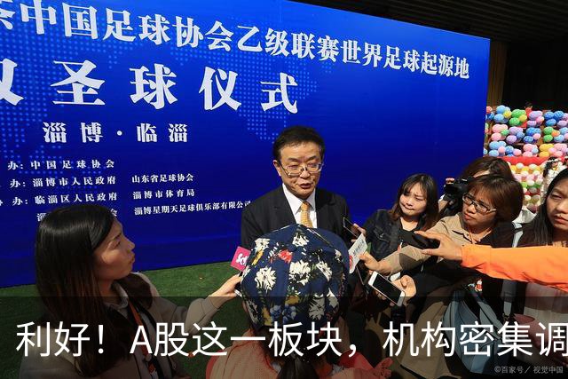 利好！A股这一板块，机构密集调研