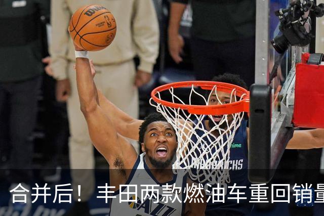 合并后！丰田两款燃油车重回销量汽车榜前十