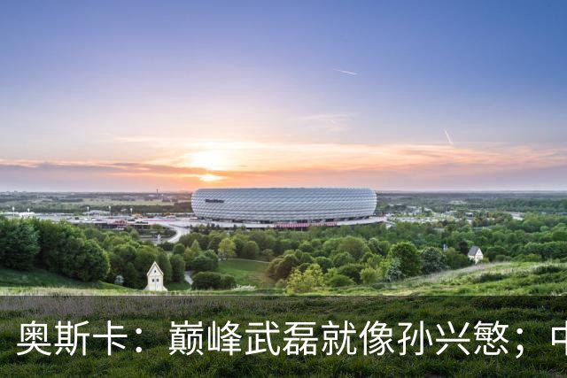 奥斯卡：巅峰武磊就像孙兴慜；中国球员在国足压力太大所以发挥差
