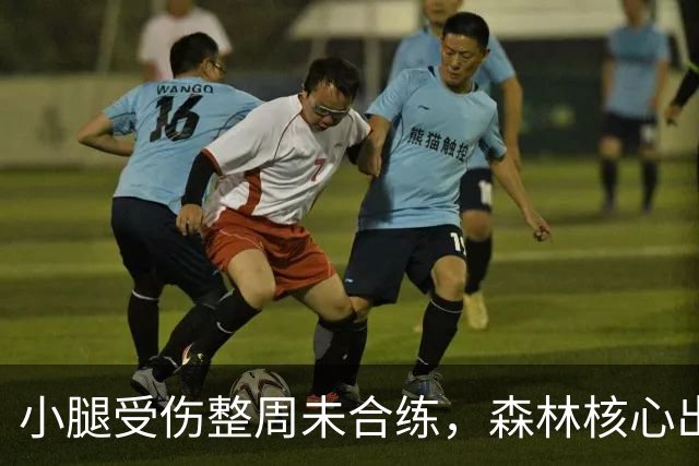 小腿受伤整周未合练，森林核心出战阿森纳成疑