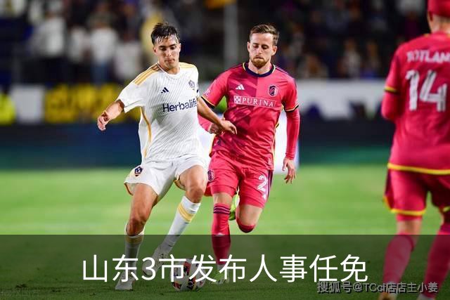 山东3市发布人事任免