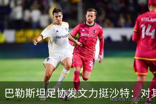 巴勒斯坦足协发文力挺沙特：对其主办亚洲杯的能力充满信心