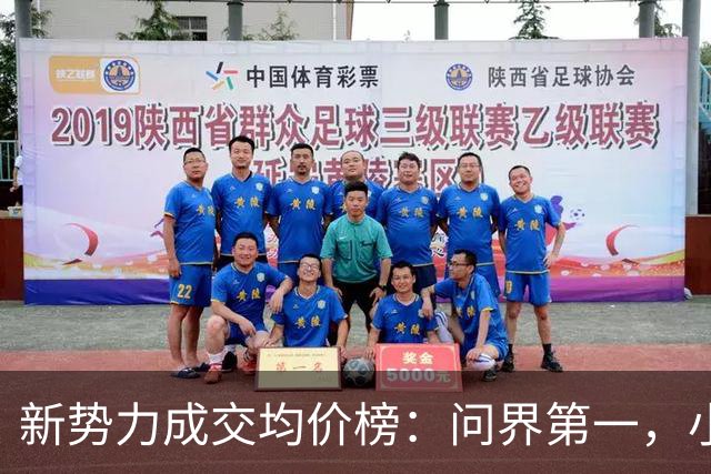 新势力成交均价榜：问界第一，小米第九，最后一名半价"理想" 并非浪得虚名