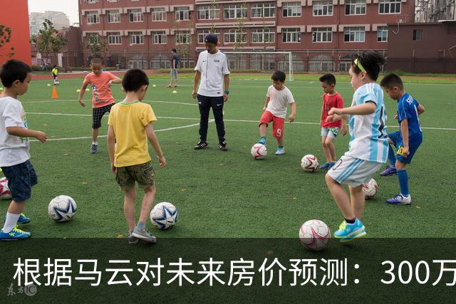 根据马云对未来房价预测：300万的房子，到2030年还能值多少钱？