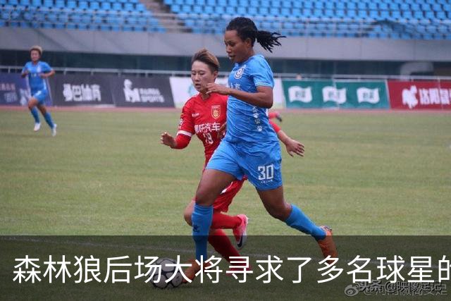 森林狼后场大将寻求了多名球星的意见，他为自己的恢复设定了期限