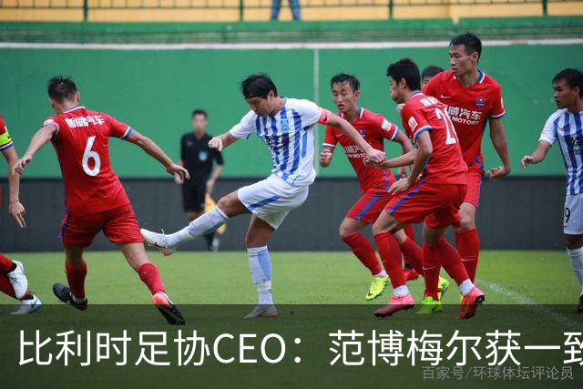 比利时足协CEO：范博梅尔获一致好评，球员们都喜欢他的踢法
