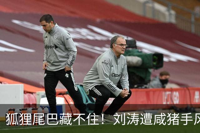 狐狸尾巴藏不住！刘涛遭咸猪手风波再升级，受害者远不止一个