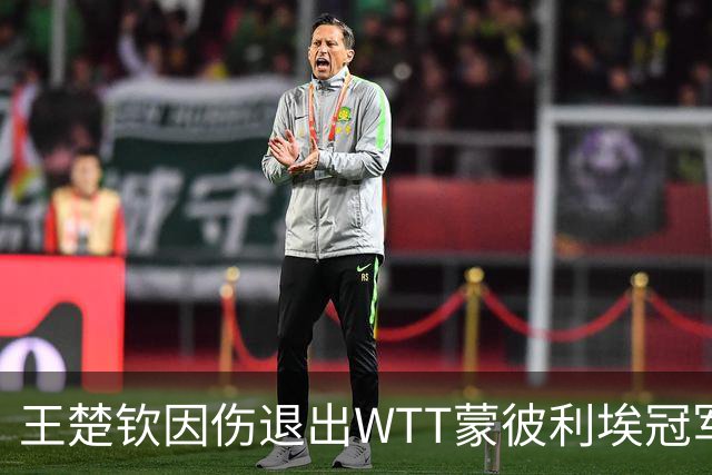 王楚钦因伤退出WTT蒙彼利埃冠军赛