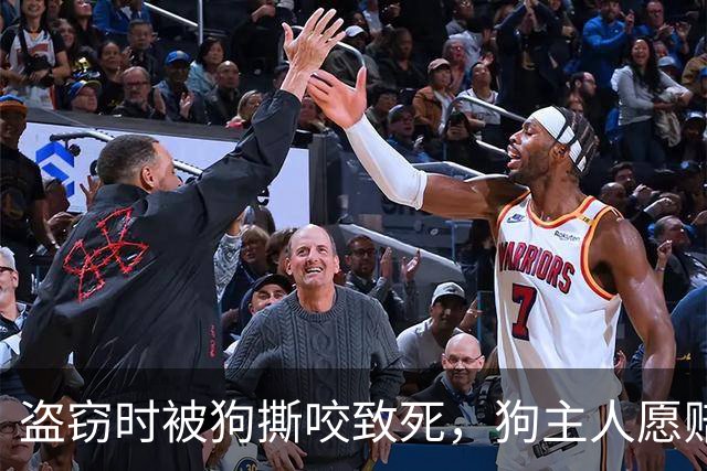 盗窃时被狗撕咬致死，狗主人愿赔偿四万被拒绝，家属索赔66万！法院判决：无责任，不用赔！