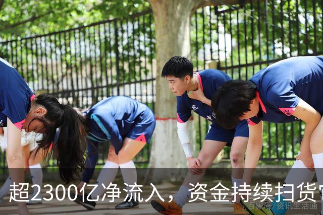 超2300亿净流入，资金持续扫货它们！高股息成亮点