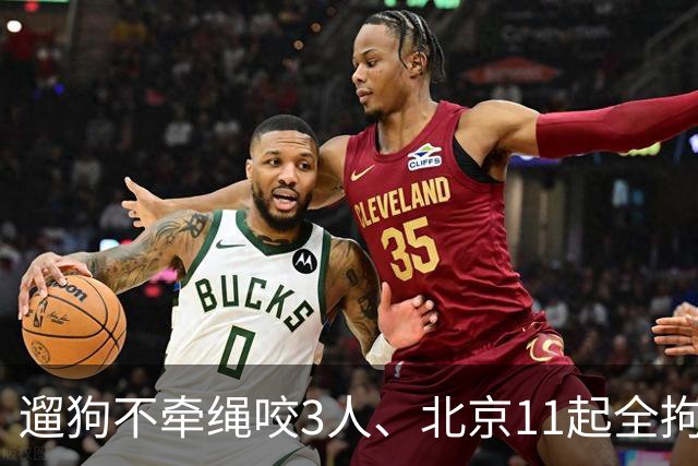 遛狗不牵绳咬3人、北京11起全拘：养犬的‘肉疼’时代来了？