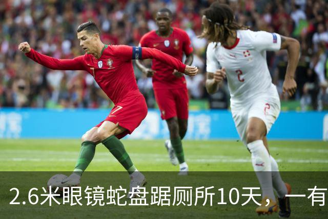 2.6米眼镜蛇盘踞厕所10天，一有动静就钻回下水道，男子无奈装监控，只要蛇出现就会自动推送提醒，蹲守6天终于抓到了